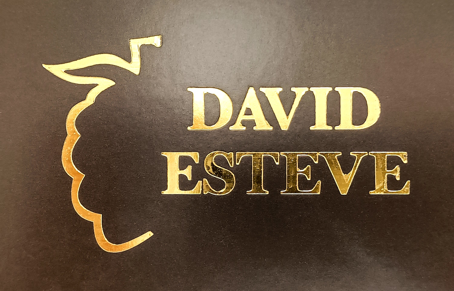 En pleno centro de Valencia David Esteve Pastelería