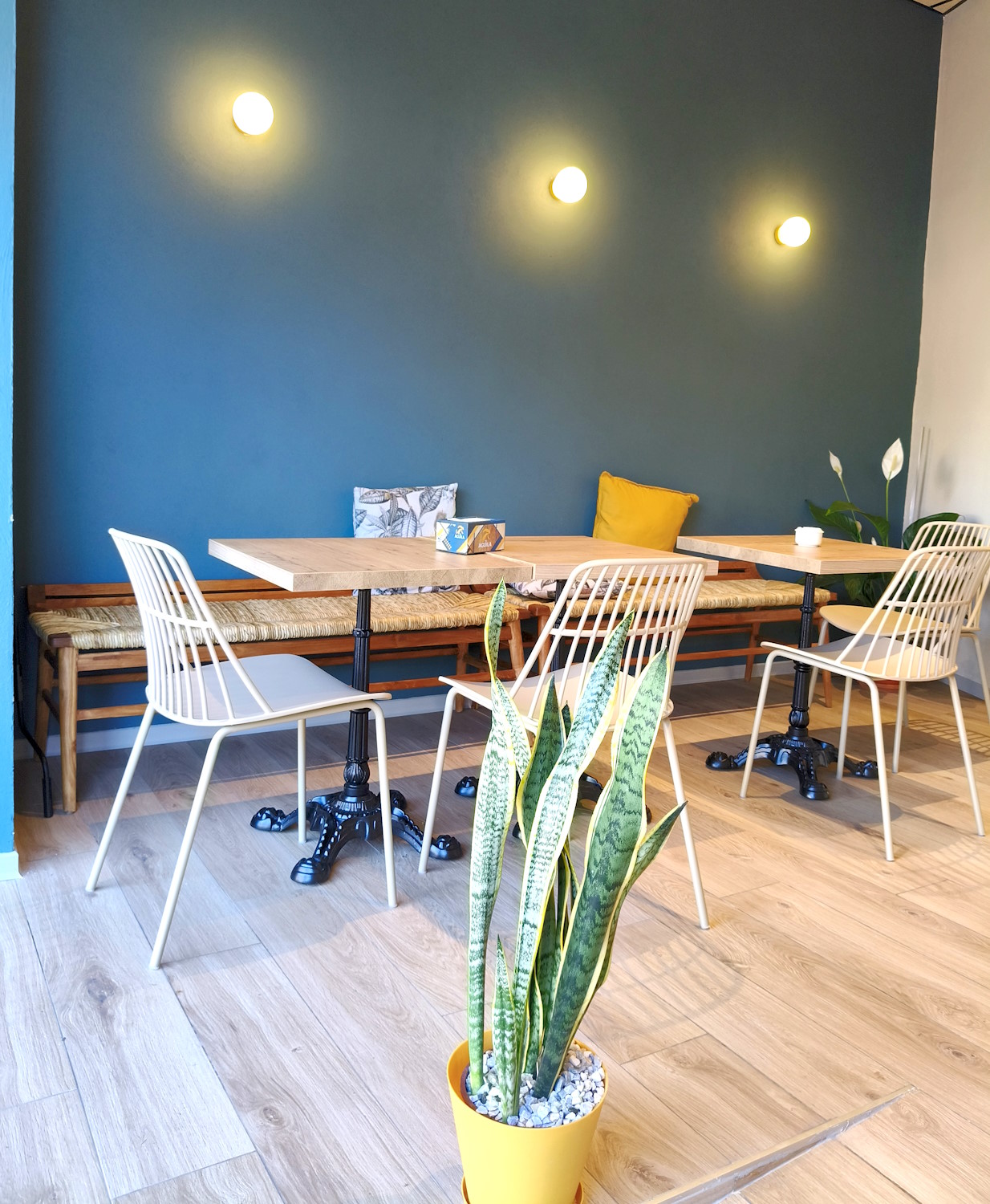 VITUALLA Café, Lounge, Vinos y Gourmet